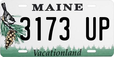 ME license plate 3173UP
