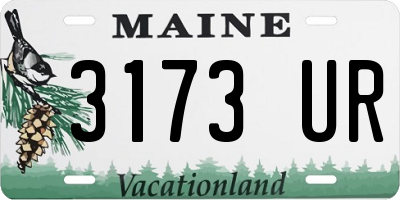 ME license plate 3173UR