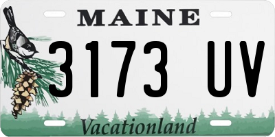 ME license plate 3173UV