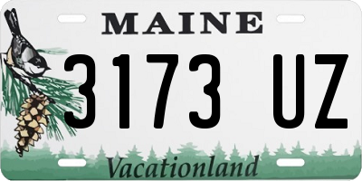 ME license plate 3173UZ