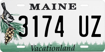 ME license plate 3174UZ