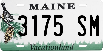 ME license plate 3175SM