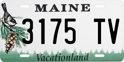 ME license plate 3175TV