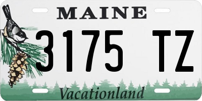ME license plate 3175TZ