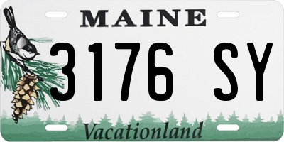 ME license plate 3176SY
