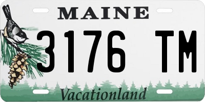 ME license plate 3176TM