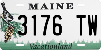 ME license plate 3176TW