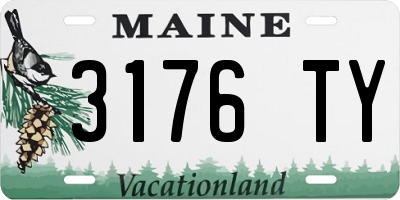ME license plate 3176TY