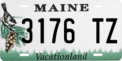 ME license plate 3176TZ