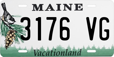 ME license plate 3176VG