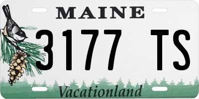 ME license plate 3177TS