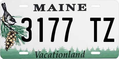 ME license plate 3177TZ