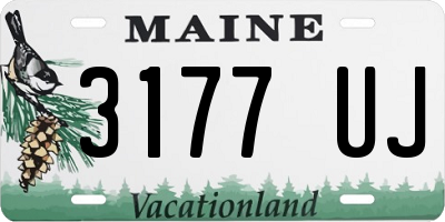 ME license plate 3177UJ