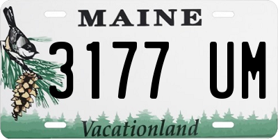 ME license plate 3177UM