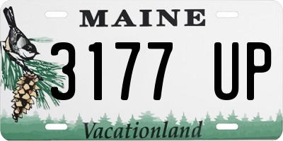 ME license plate 3177UP
