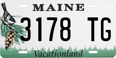 ME license plate 3178TG