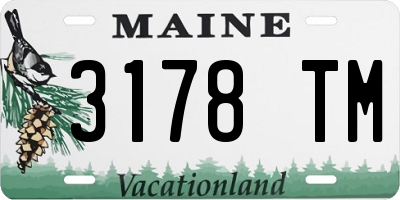 ME license plate 3178TM