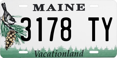 ME license plate 3178TY