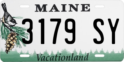 ME license plate 3179SY