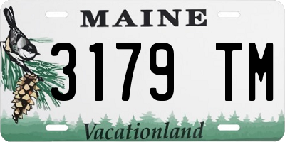 ME license plate 3179TM