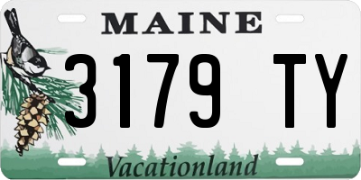 ME license plate 3179TY
