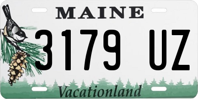 ME license plate 3179UZ