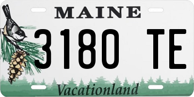 ME license plate 3180TE