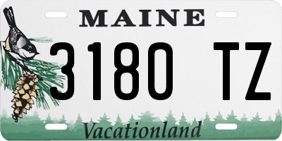 ME license plate 3180TZ