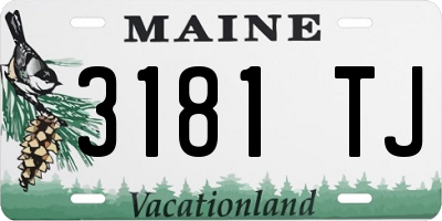 ME license plate 3181TJ