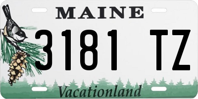 ME license plate 3181TZ
