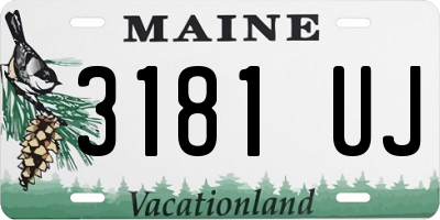 ME license plate 3181UJ