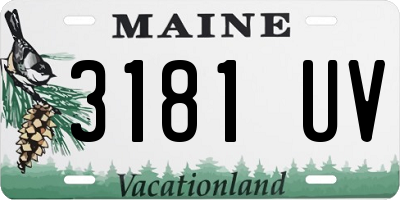 ME license plate 3181UV