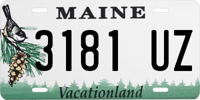 ME license plate 3181UZ