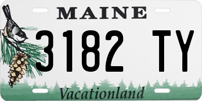 ME license plate 3182TY