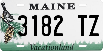 ME license plate 3182TZ