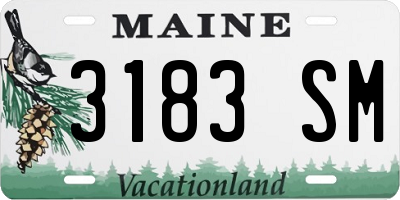 ME license plate 3183SM