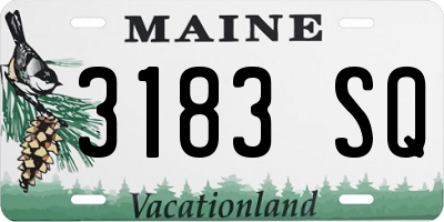 ME license plate 3183SQ