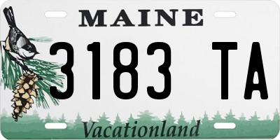 ME license plate 3183TA