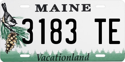 ME license plate 3183TE