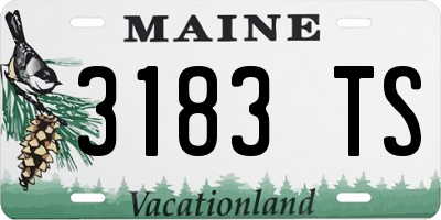 ME license plate 3183TS