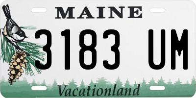 ME license plate 3183UM