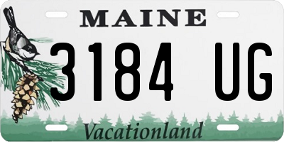 ME license plate 3184UG