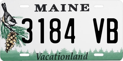 ME license plate 3184VB