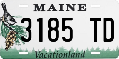 ME license plate 3185TD