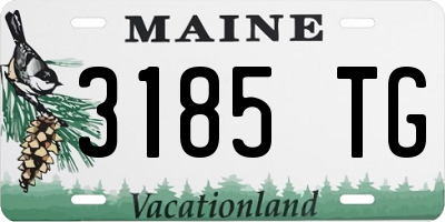 ME license plate 3185TG