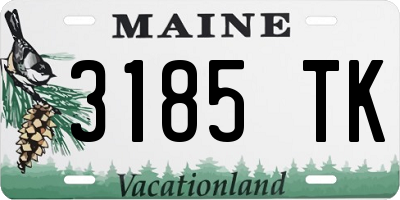 ME license plate 3185TK