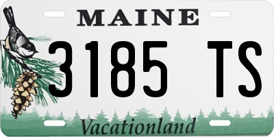 ME license plate 3185TS