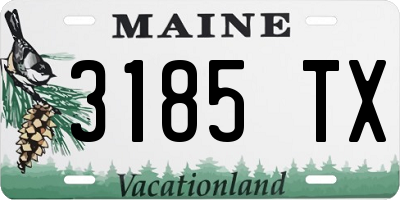 ME license plate 3185TX