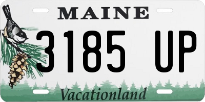 ME license plate 3185UP