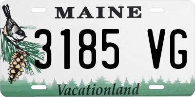 ME license plate 3185VG